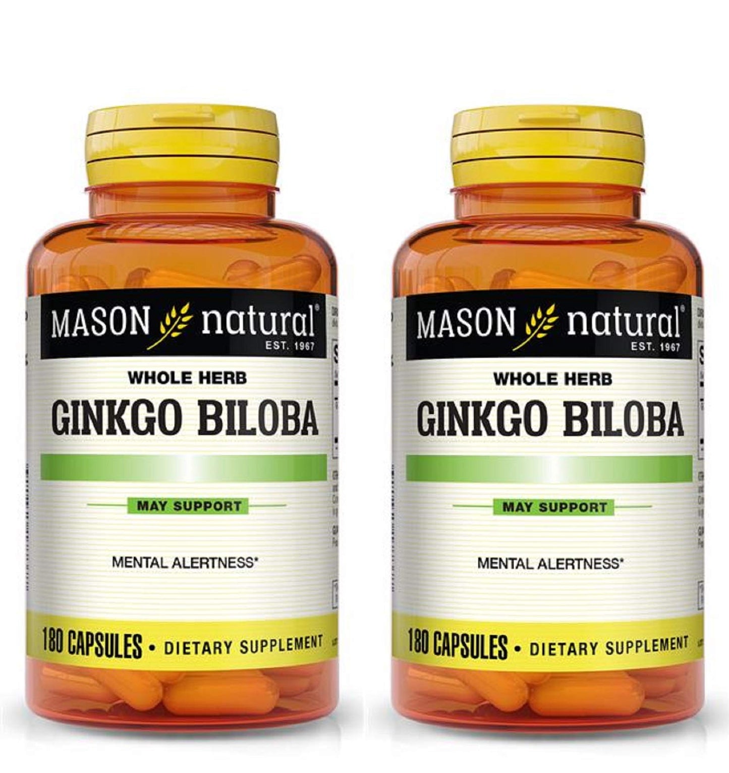 Mason Vitamins Ginkgo Biloba 500 mg – 360 Gelatin Capsules (Pack of 2 Bottles)