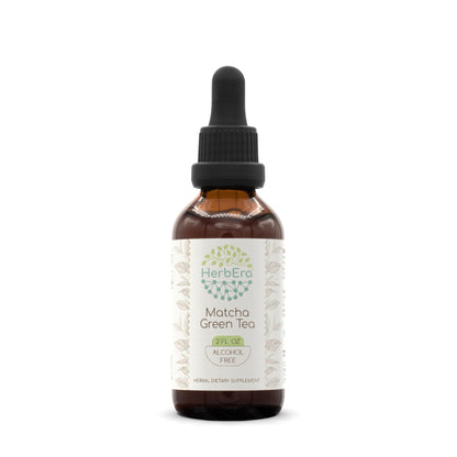 Matcha Green Tea B60 Alcohol-Free Herbal Extract Tincture - 2 fl oz