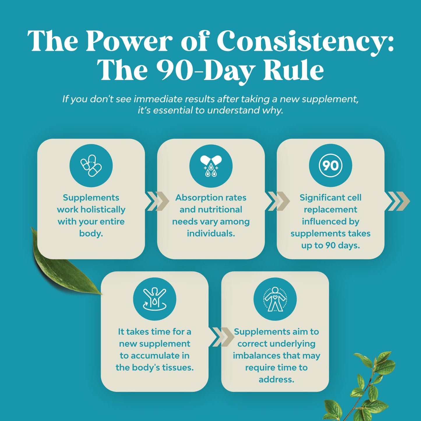 Matrix Nootropic Brain Supplement for Memory & Focus – Mind's Vitality – 60 Capsules