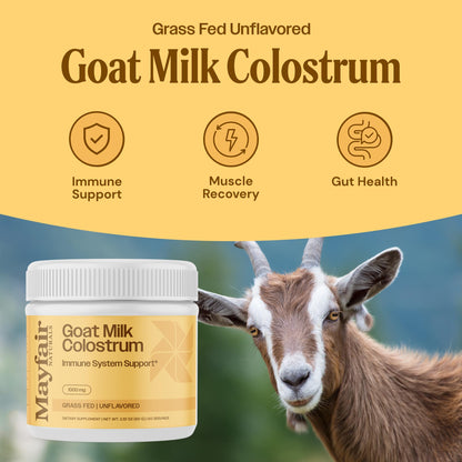 Mayfair Naturals Goat Milk Colostrum Powder – Grass-Fed, Immune & Gut Health (60g)