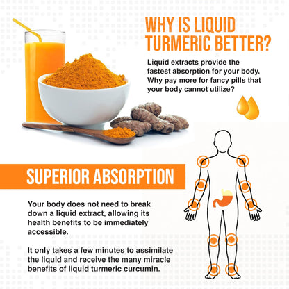 MBS Biotechnology Advanced Liquid Turmeric – High Absorption Curcumin with BioPerine & Vitamin D3 – 20 fl oz