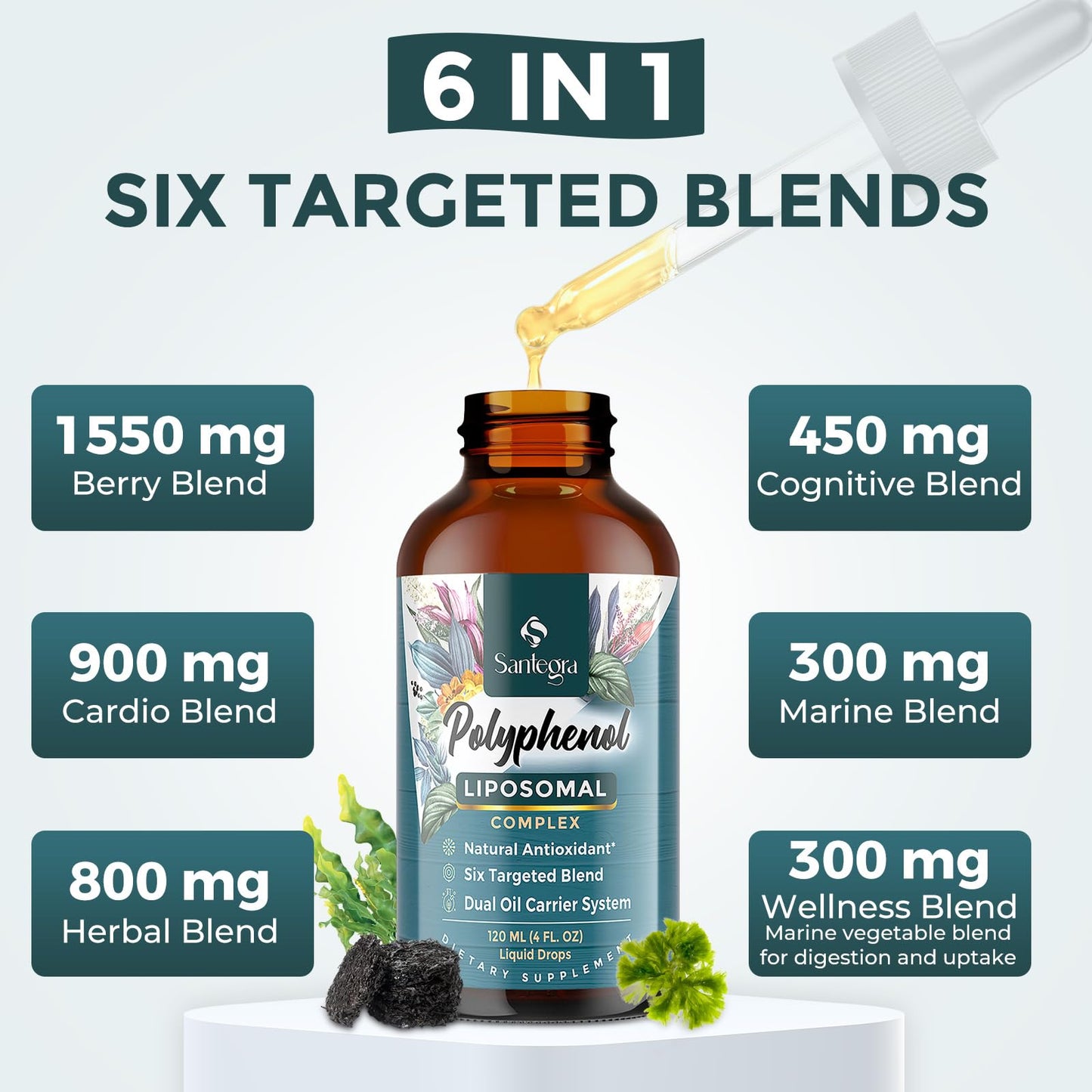 Polyphenols Liposomal Drops – 27+ Polyphenols, MCT & Olive Oil (240 ml)