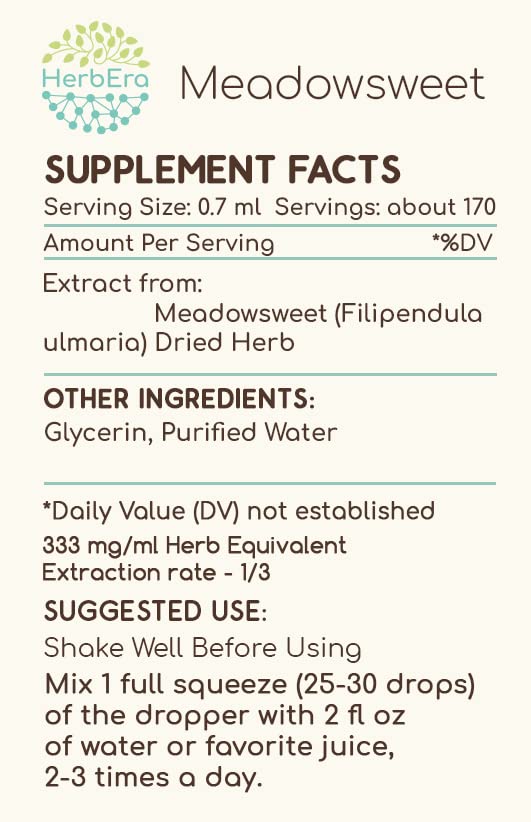 Meadowsweet B120 Alcohol-Free Herbal Extract Tincture - 4 fl oz