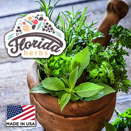 Meadowsweet Tincture Extract – Organic Meadowsweet (Filipendula Ulmaria) in Cold-Pressed Vegetable Glycerin