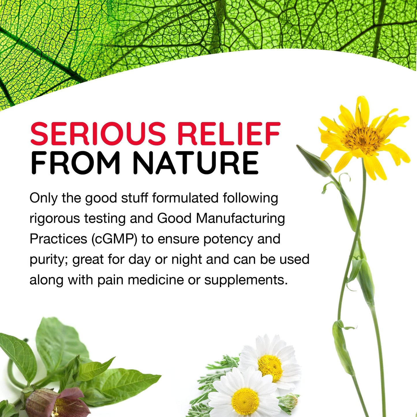 MediNatura T-Relief Arnica +12 Natural Actives – Whole Body, Fast-Acting Homeopathy (100 Tablets)