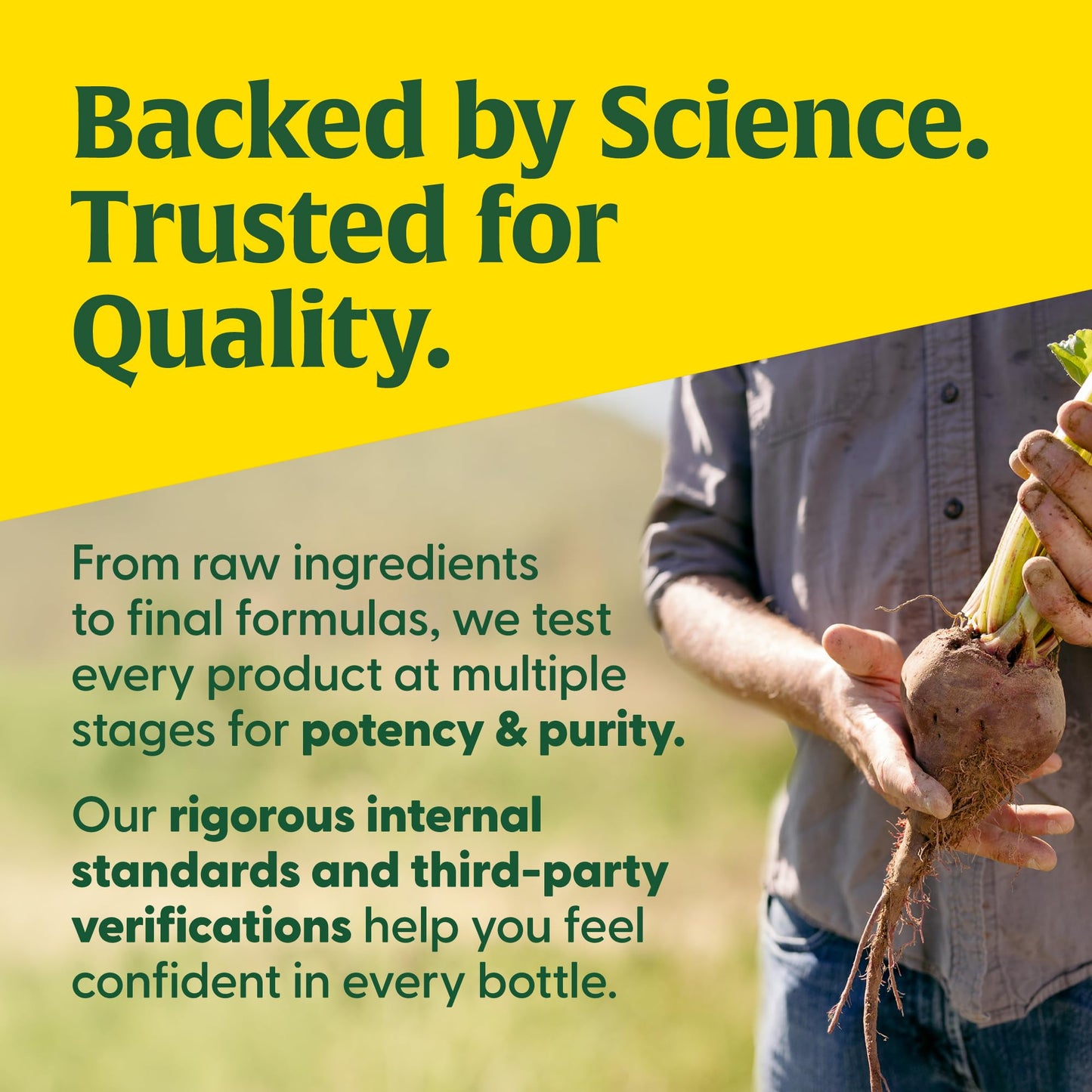 MegaFood Collagen Peptides – Unflavored, 20oz (28 Servings) – Grass-Fed Bovine