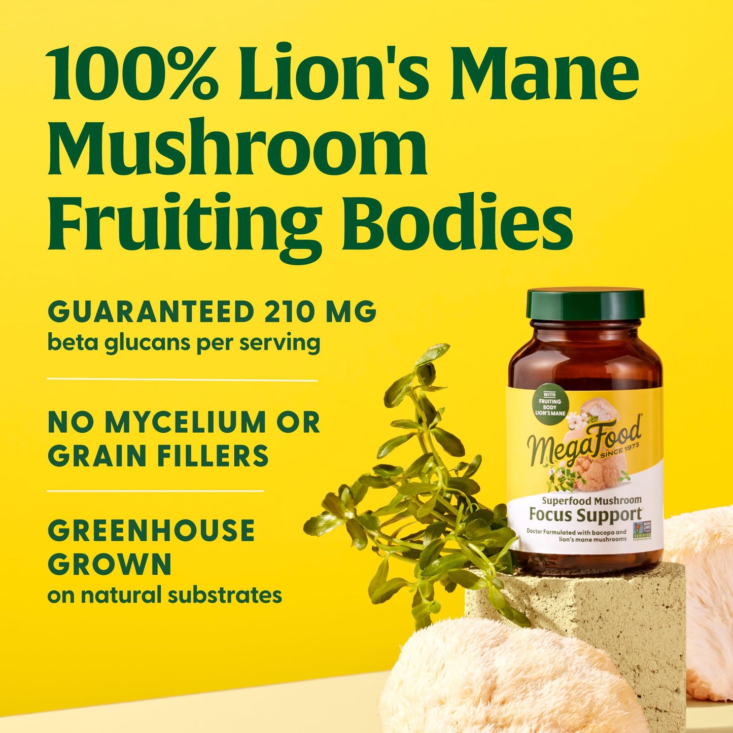 MegaFood Superfood Mushroom Focus Support – Doctor Formulated Lions Mane with Bacopa | Vegan, 60 Capsules