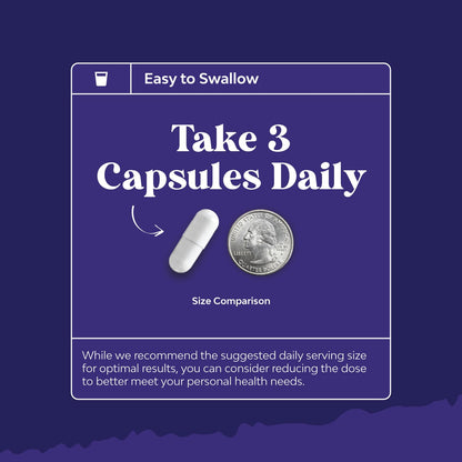 High Absorption Magnesium Sleep Support – Mg L-Threonate, Theanine & Apigenin for Restful Sleep