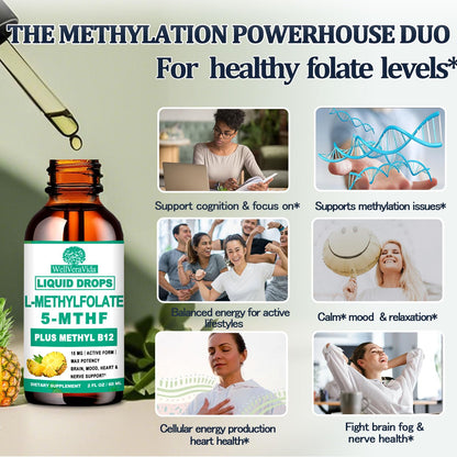 2 Pack Methylfolate Drops 15mg – L-Methylfolate + B Vitamins (5-MTHF)