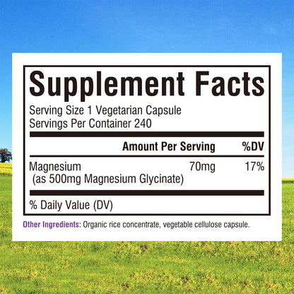 Innate Vitality Magnesium Glycinate 500mg | 70mg Elemental Mg | 240 Caps