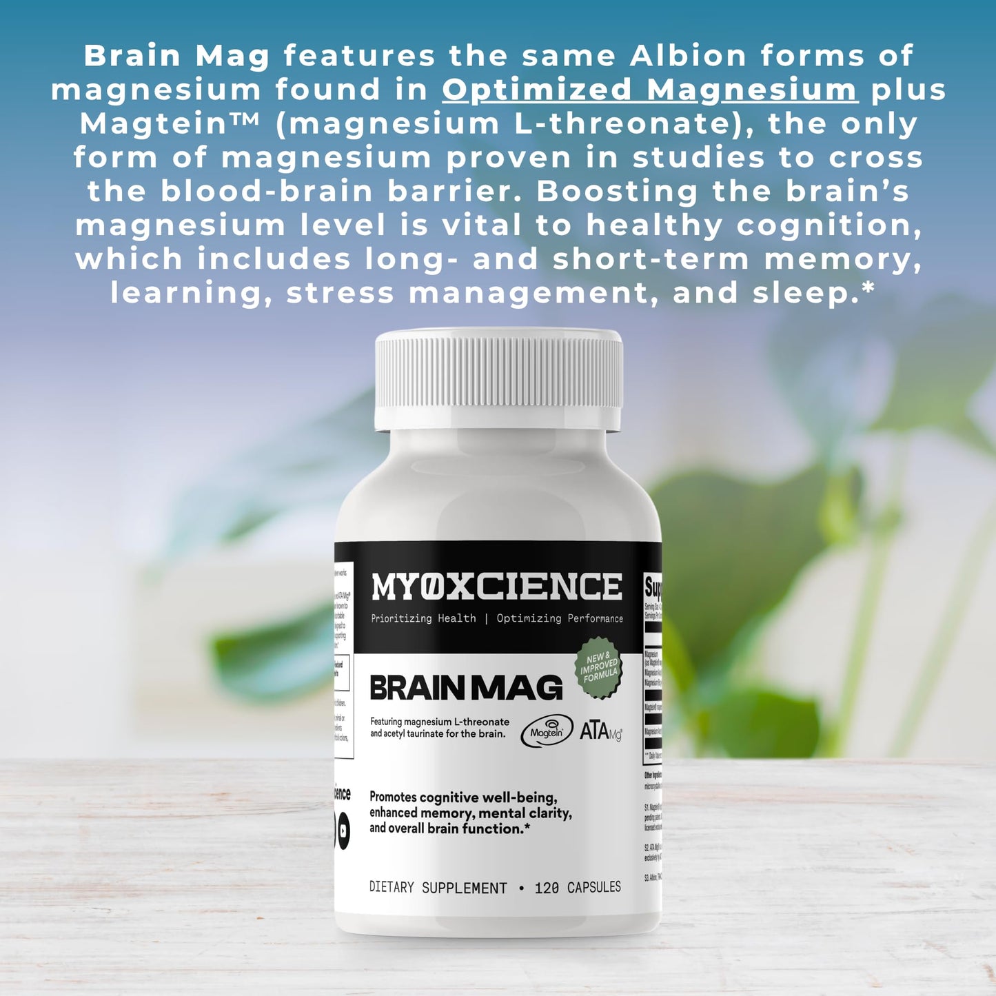 Magnesium L-Threonate + ATA Mag + Magnesium Glycinate | Cognitive Support, Memory & Mental Clarity | 120 Capsules