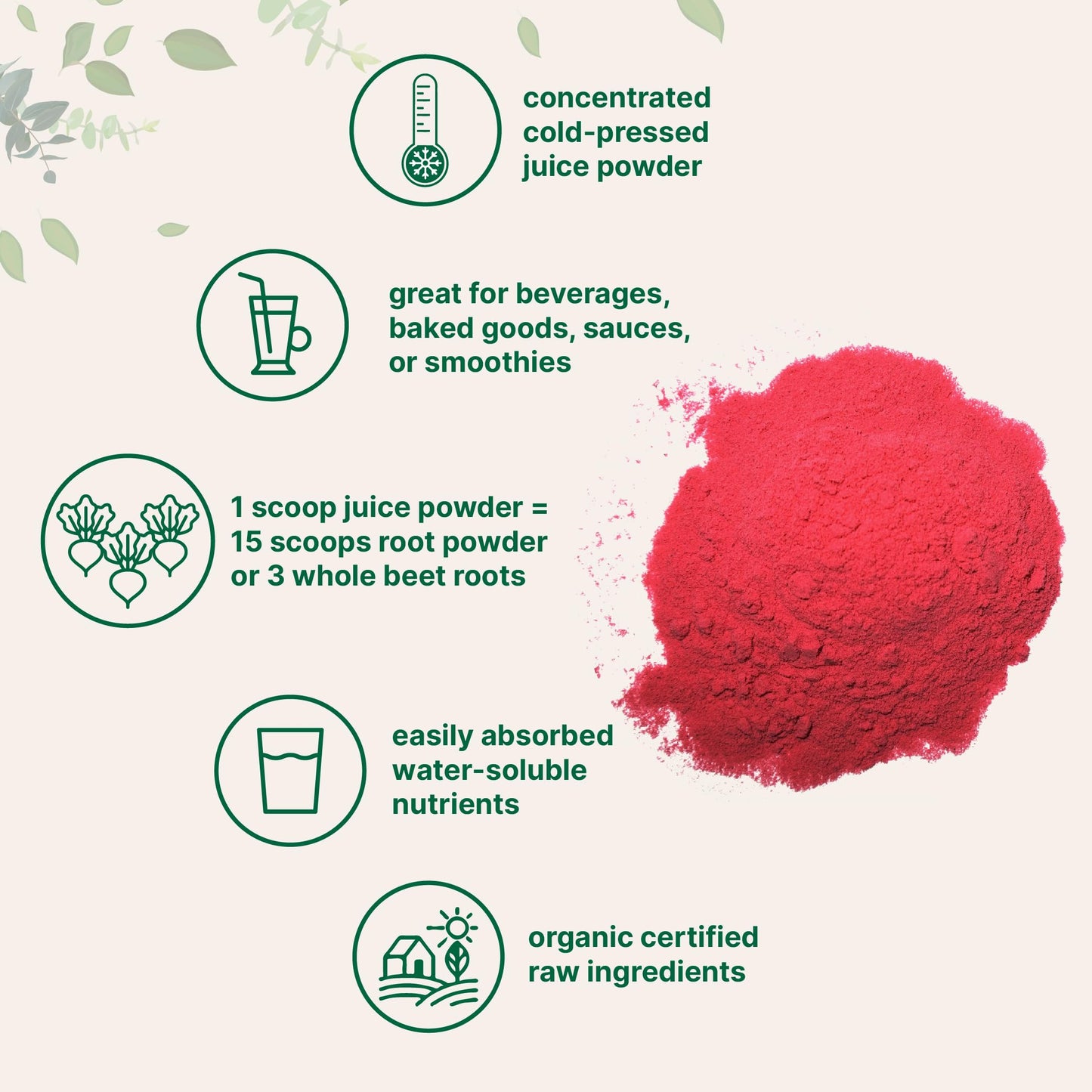 Micro Ingredients Organic Beet Root Powder - 1 lb, Cold-Pressed & Water-Soluble, Non-GMO