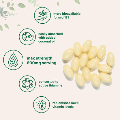 Micro Ingredients Vitamin B1 Benfotiamine 600mg Softgels – Bioavailable B1, Non-GMO, Soy Free