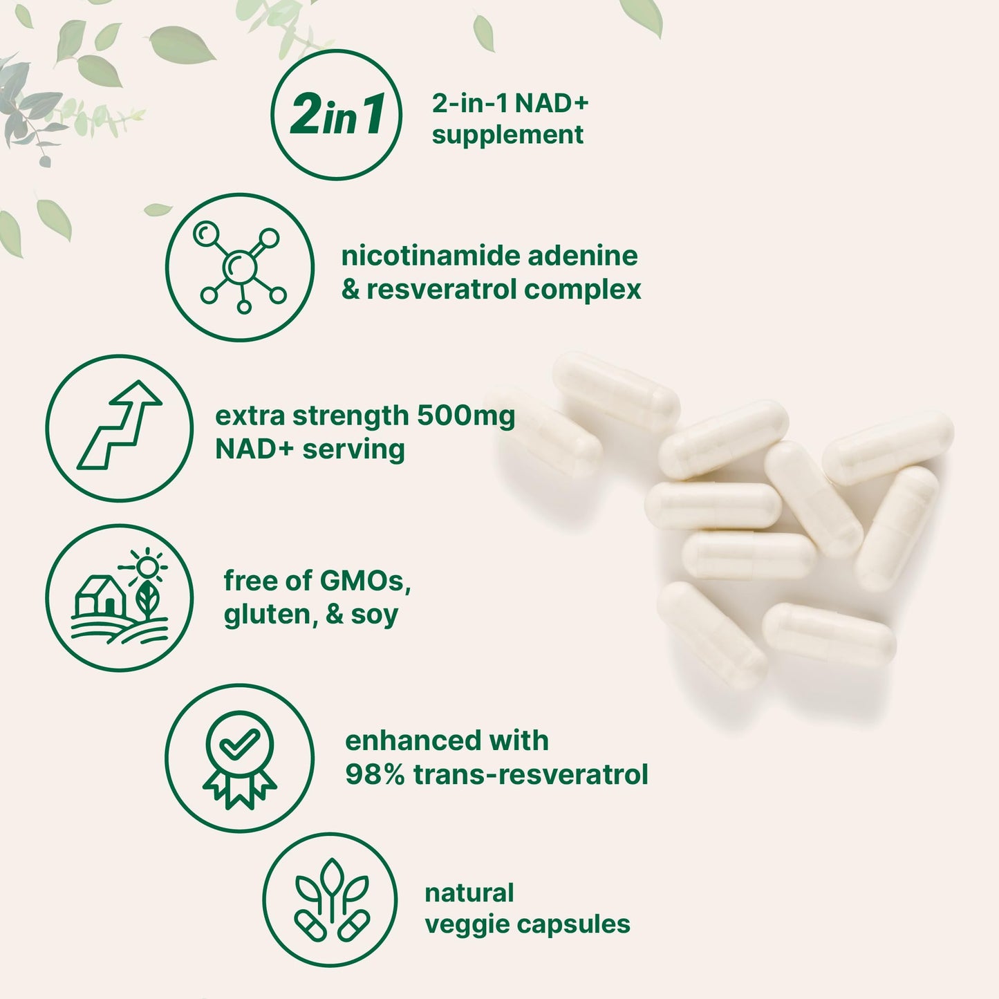 Micro Ingredients NAD+ 500mg with Resveratrol - 240 Veggie Capsules | Anti-Aging, Energy & Brain Support