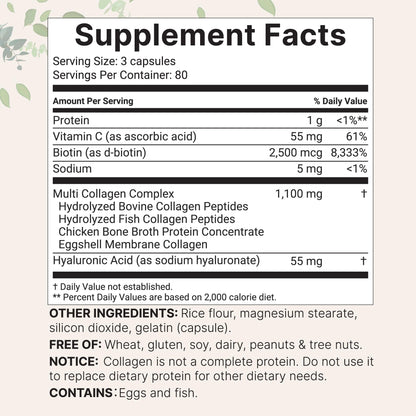 Micro Ingredients 2 Pack Multi Collagen Pills – Types I–X, Biotin & Hyaluronic Acid