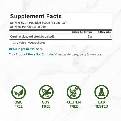 Instant Creatine Monohydrate Powder, 5g Per Serving – 240 Servings | Micronized, Unflavored, Fast Absorbing Formula | Supports Strength, Power, & High-Intensity Training* | Vegan, Keto, Non-GMO