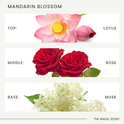 The Magic Scent Mandarin Blossom Diffuser Oil - Hotel & Home Luxury Scents Inspired by Maldives - Diffuser Oil Scents for Home Designed for Use in All Diffusers - 8.5 fl oz, 250 mL