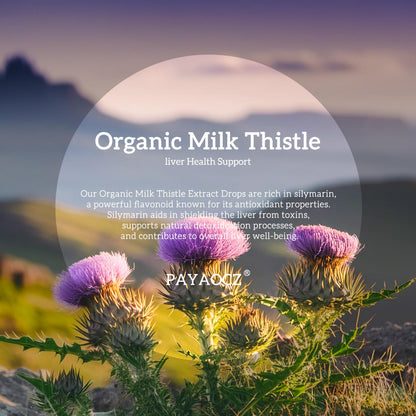 (4 Pack) Milk Thistle Drops 1000mg | Liver Detox & Support | Vegan, Non-GMO | 1 Fl Oz