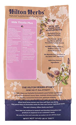 Milk Thistle Plus: Supports Liver Health & Function