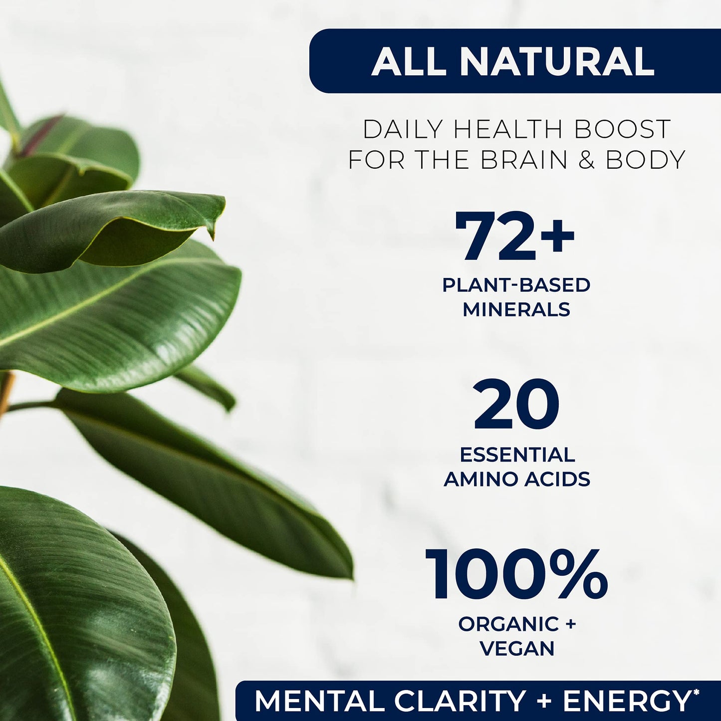 Liquid Chelated Minerals with Humic Fulvic Blend - 72+ Plant-Based Minerals, 32 oz