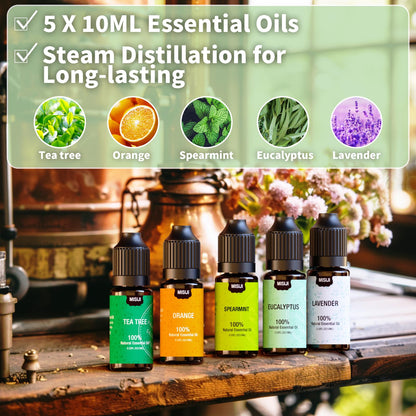 MISIJI Essential Oils for Diffuser - 10ml (Orange, Lavender, Peppermint, Eucalyptus, Tea Tree) | Top Aromatherapy Oils