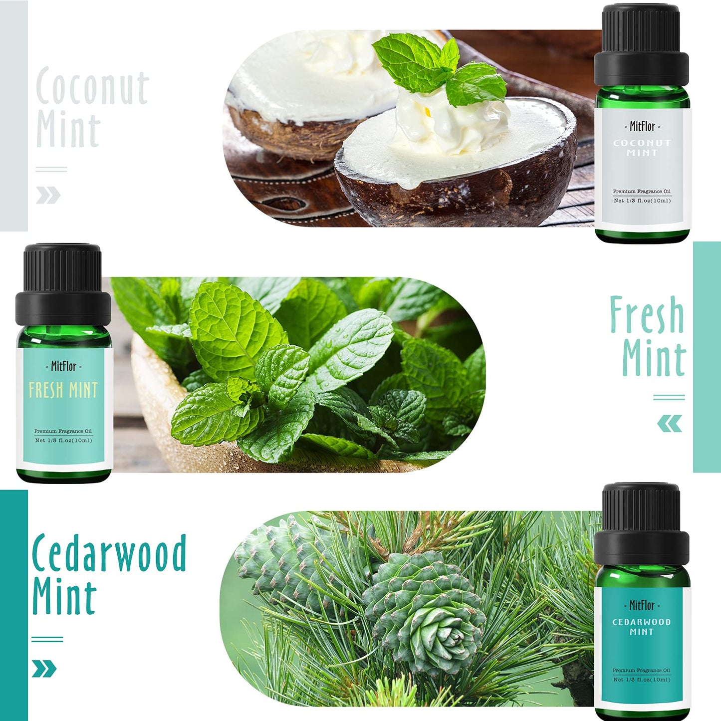 MitFlor Mint Fragrance Oils Set – 6x10ml Premium Scented Oils for Diffuser, Candle & Soap Making