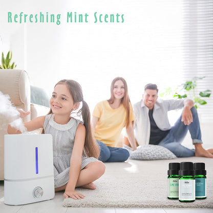 MitFlor Mint Fragrance Oils Set – 6x10ml Premium Scented Oils for Diffuser, Candle & Soap Making