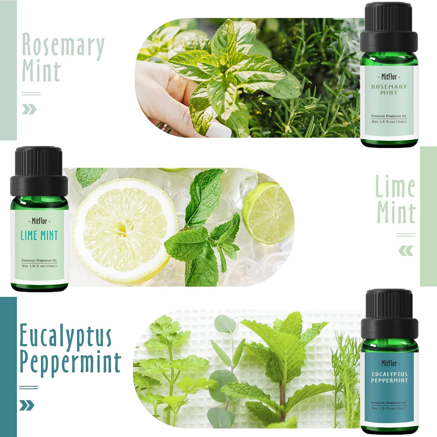 MitFlor Mint Fragrance Oils Set – 6x10ml Premium Scented Oils for Diffuser, Candle & Soap Making