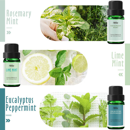 MitFlor Mint Fragrance Oils Set – 6x10ml Premium Scented Oils for Diffuser, Candle & Soap Making