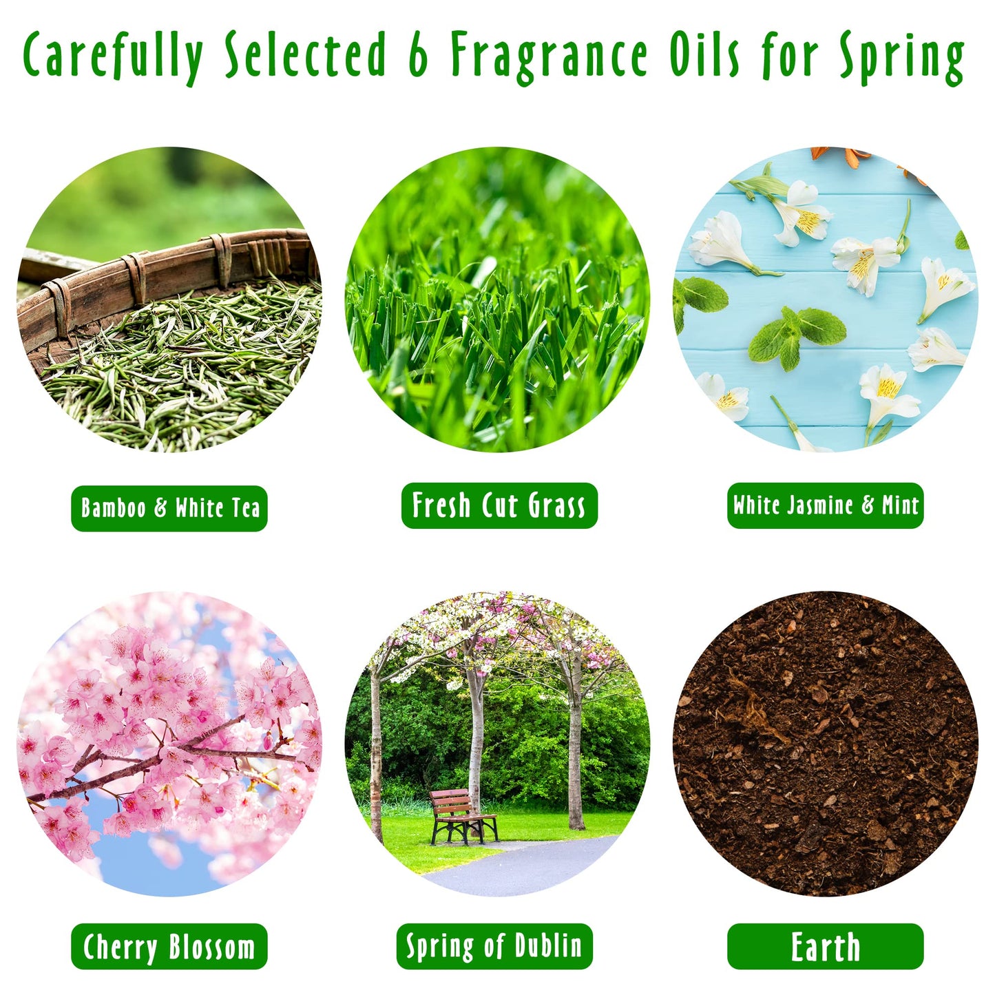 MitFlor Spring Fragrance Oils Set - 6x10ml Premium Essential Oils