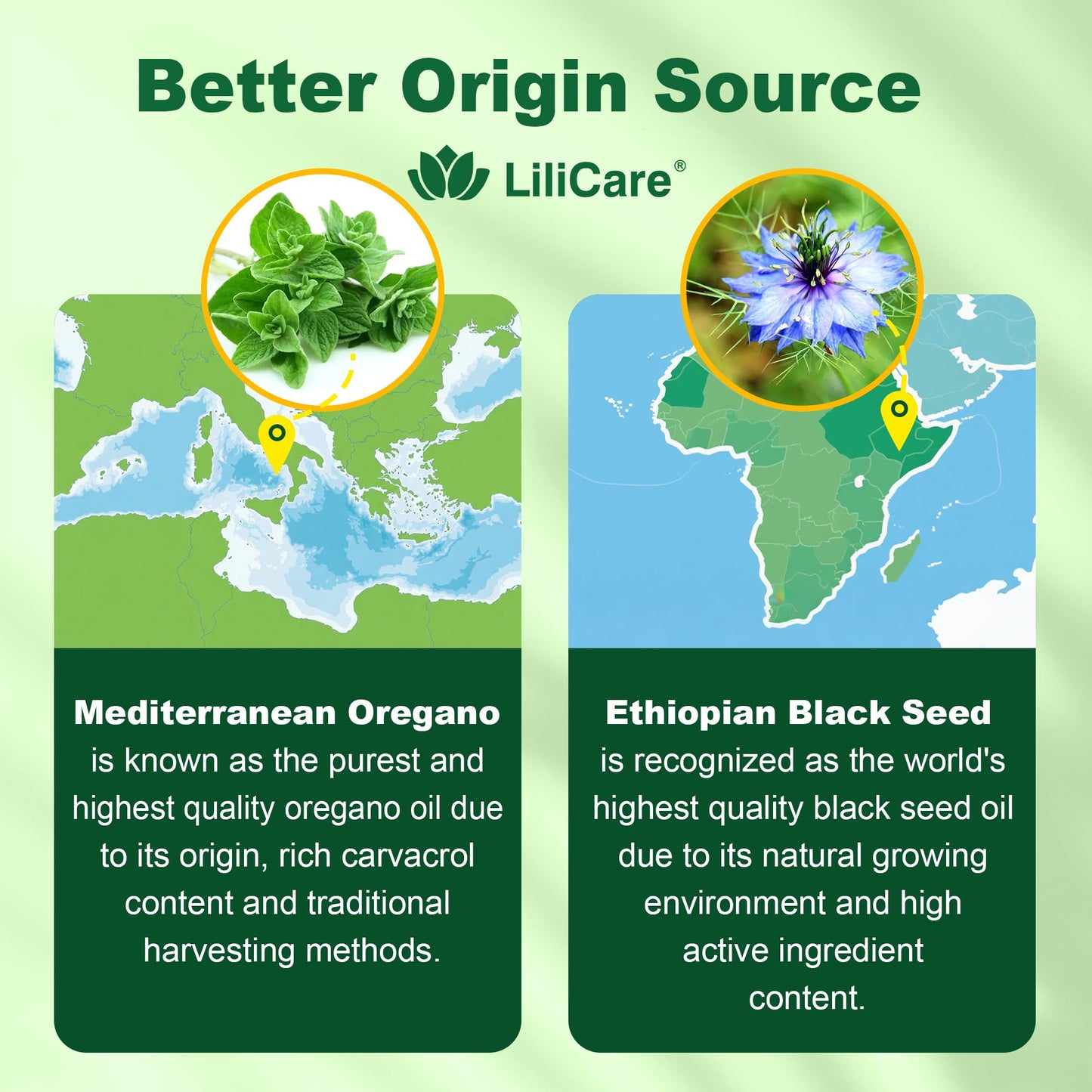 Oil of Oregano with Black Seed Oil Gummies – Liposomal, Sugar Free (2 Months) | Immune Support