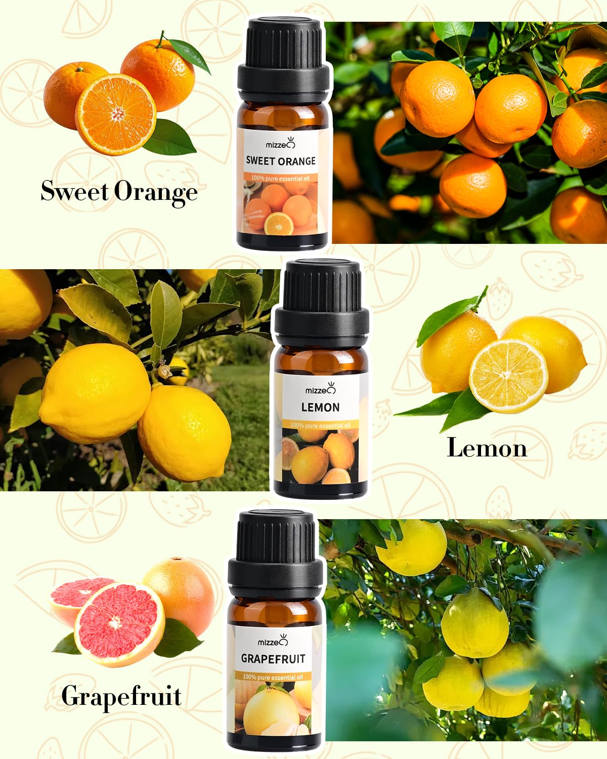 MIZZEO Fruity Essential Oil Set – 3x10ml Pure & Natural Diffuser Oils (Sweet Orange, Lemon, Grapefruit)