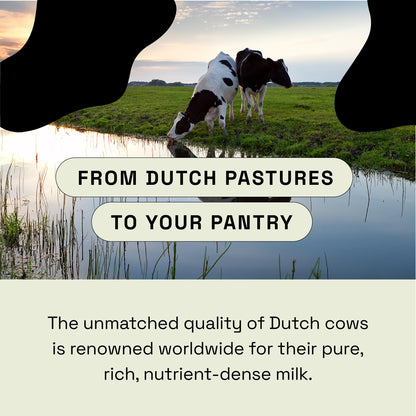 MOOVE Bovine Colostrum Capsules 1000mg – Grass-Fed Dutch Cows | Immune & Gut Support