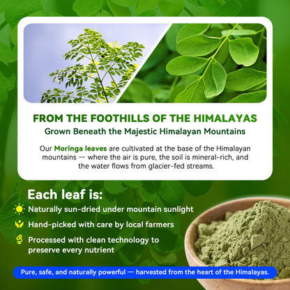 Moringa 1000mg Capsules – 10:1 Leaf Extract | Energy, Immunity & Gut Health