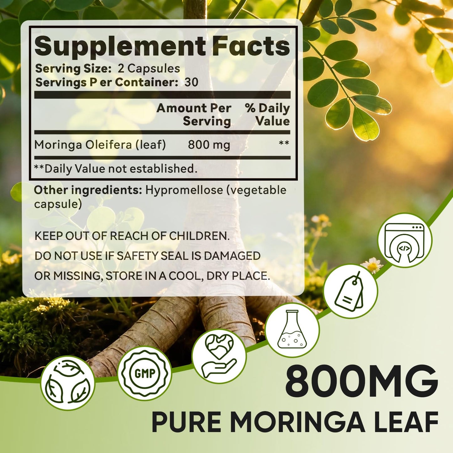 Golden Chapter Moringa Capsules – Iron, Magnesium, B12 & Vitamin C | Joint Support & Energy, 60 Count