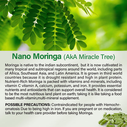 Moringa Capsules 800mg | Pure Moringa Powder Capsules for Energy, Skin & Immune Support – 90 Caps