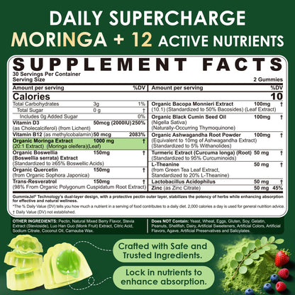 Moringa Gummies 1000mg - Sugar Free | 13-in-1 Superfood for Energy, Immunity, Skin