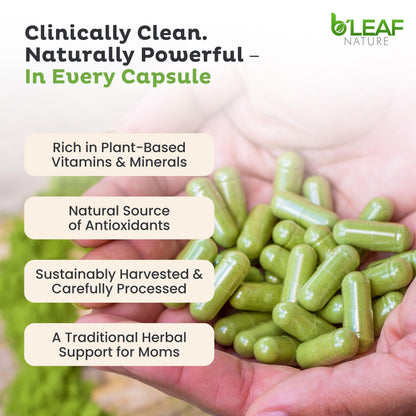 B’Leaf Nature Organic Moringa Capsules 1000mg – Immune Support, Energy & Wellness (Vegan, Non-GMO) | 180 Count