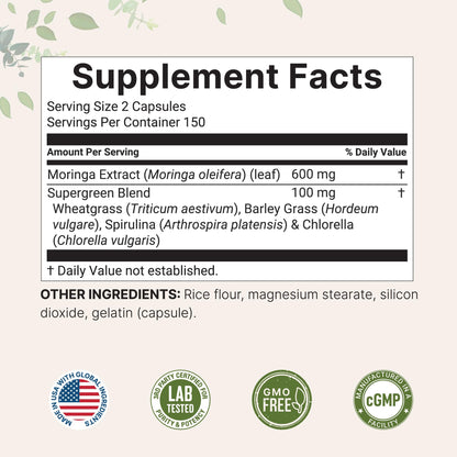 Micro Ingredients Moringa Oleifera 300 Capsules | Immune Support & Energy | Non-GMO