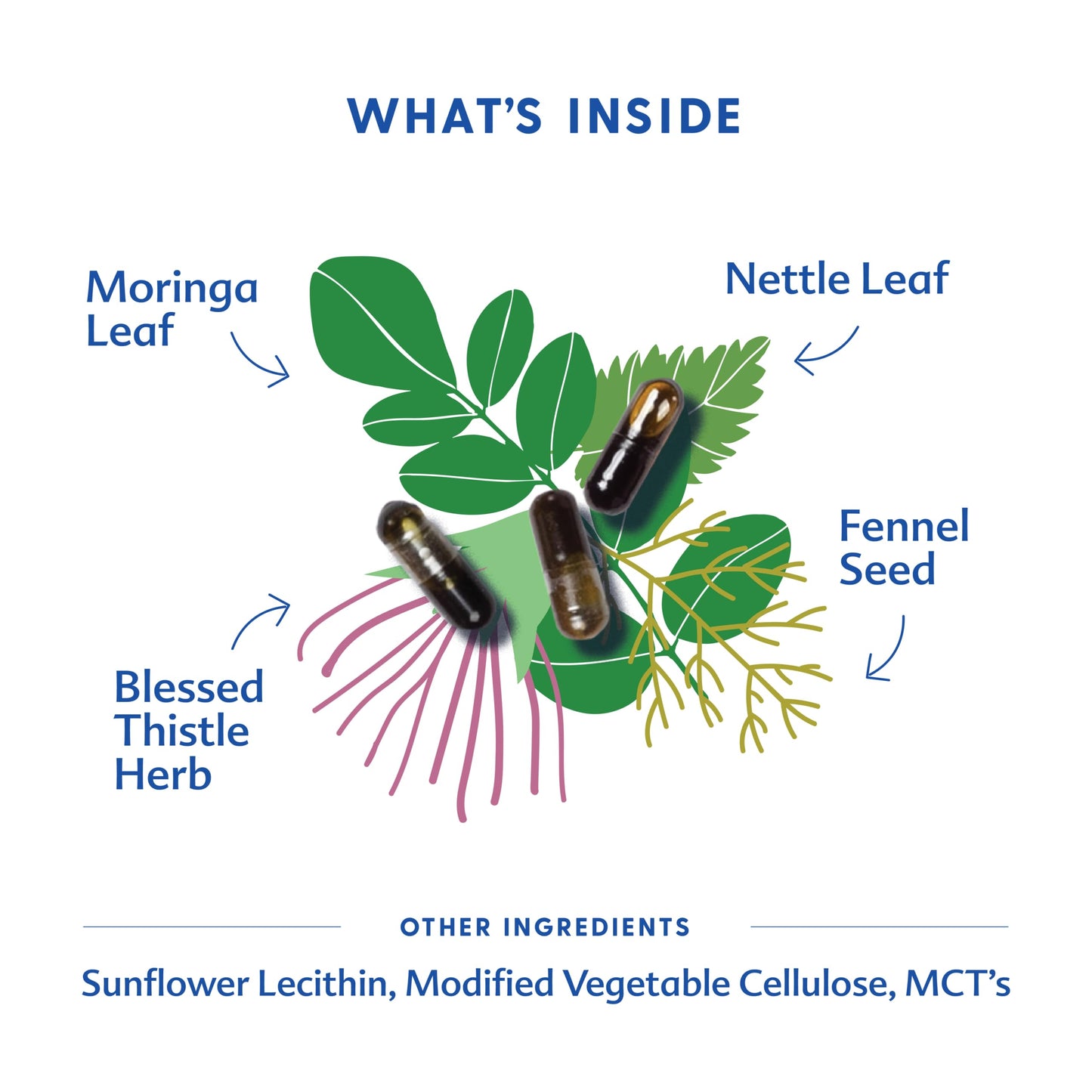Motherlove More Milk Moringa (180 Liquid Caps) – Fenugreek-Free Lactation Support with Organic Moringa, Blessed Thistle, Nettle & Fennel | Vegan, Non-GMO