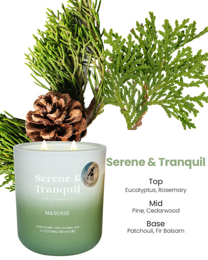 M&SENSE Pine Cedarwood Holiday Candle – 14.1oz, 80 Hours, Non-Toxic Soy Wax