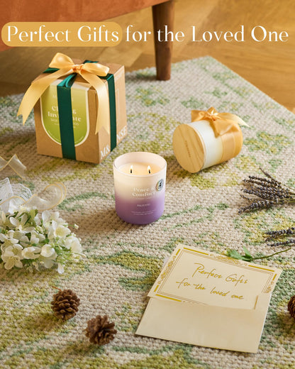 M&SENSE Sage Eucalyptus Scented Candle – 14.1oz, 80-Hour Non-Toxic Soy Wax, 2-Wick Aromatherapy
