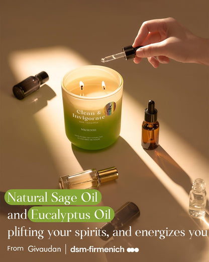 M&SENSE Sage Eucalyptus Scented Candle – 14.1oz, 80-Hour Non-Toxic Soy Wax, 2-Wick Aromatherapy