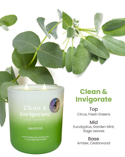 M&SENSE Sage Eucalyptus Scented Candle – 14.1oz, 80-Hour Non-Toxic Soy Wax, 2-Wick Aromatherapy