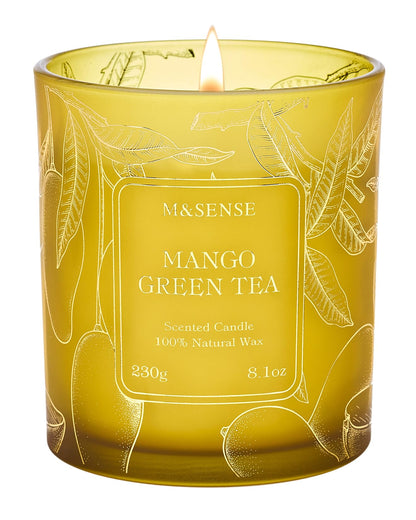 M&SENSE Mango Green Tea Scented Candle – Vegan Soy Wax, 8.1oz, 42-Hour Burn