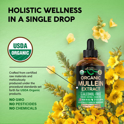 Mullein Drops for Lungs – USDA Organic Mullein Extract, Made in USA