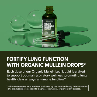 Mullein Drops for Lungs - Organic Mullein Leaf Extract, 2 oz