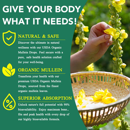 Mullein Drops for Lungs - 4 Fl Oz | Respiratory Support & Immune Health