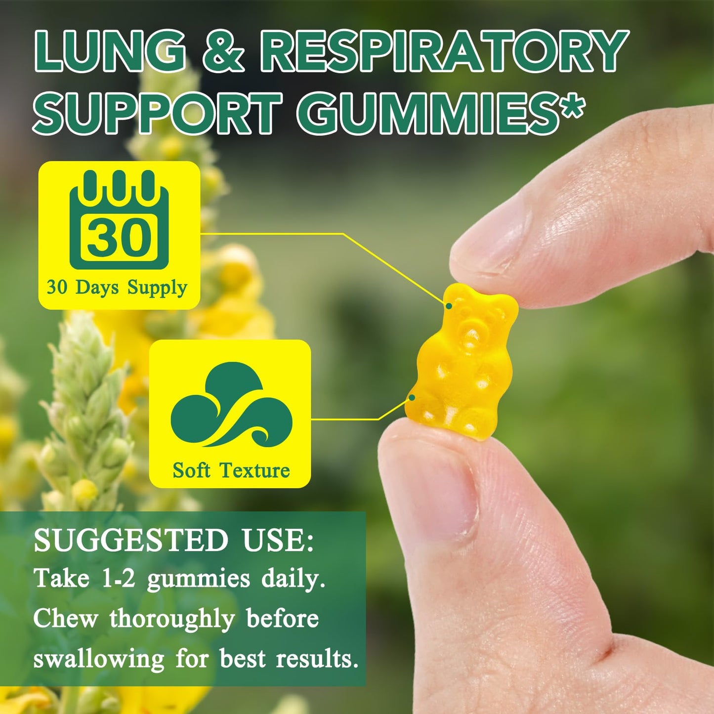 2 Pack Mullein Gummies for Lung Detox, Lung Cleanse & Mucus Relief