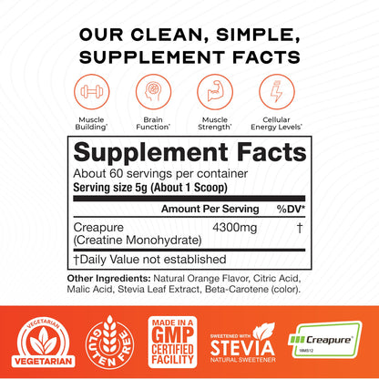 Muscle Feast Creapure Creatine Monohydrate Powder – Natural Orange, 300g | Vegan, Gluten-Free, Easy to Mix
